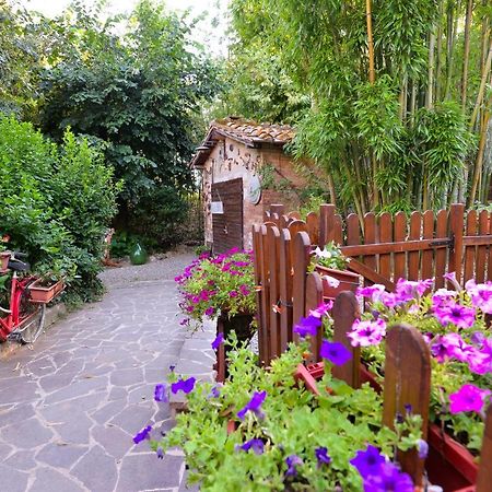 Loft In Antico Mulino Apartment Isola d'Arbia Екстериор снимка